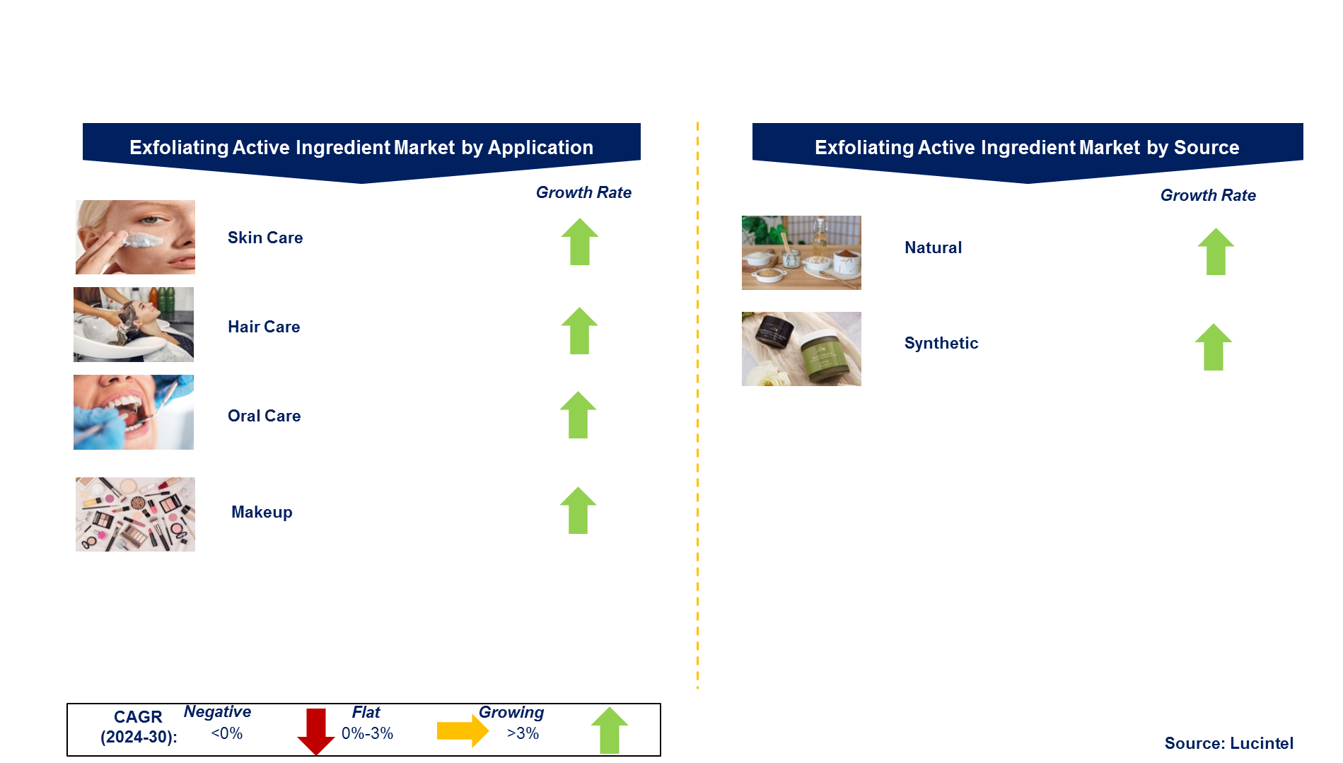 Exfoliating Active Ingredient Market by Segment